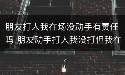 朋友打人我在场没动手有责任吗 朋友动手打人我没打但我在场