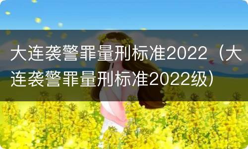 大连袭警罪量刑标准2022（大连袭警罪量刑标准2022级）