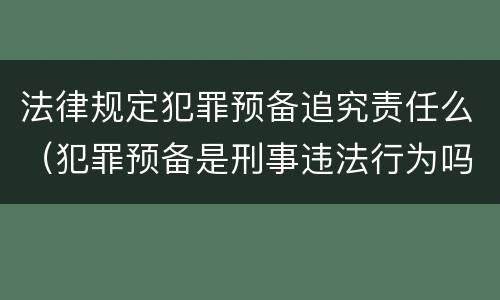 法律规定犯罪预备追究责任么（犯罪预备是刑事违法行为吗）
