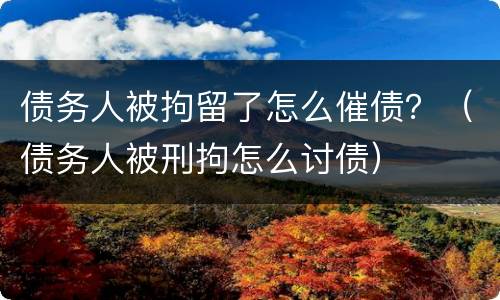 债务人被拘留了怎么催债？（债务人被刑拘怎么讨债）