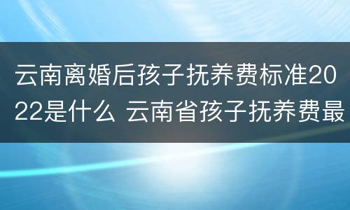 云南离婚后孩子抚养费标准2022是什么 云南省孩子抚养费最低标准是多少