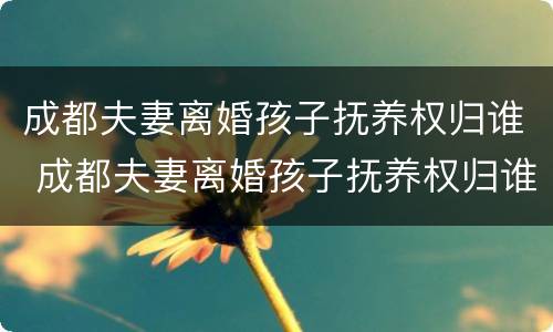 成都夫妻离婚孩子抚养权归谁 成都夫妻离婚孩子抚养权归谁所有