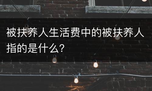 被扶养人生活费中的被扶养人指的是什么？