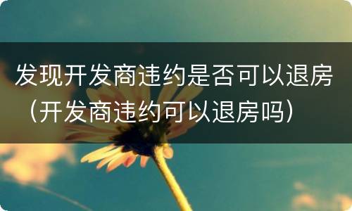 发现开发商违约是否可以退房（开发商违约可以退房吗）