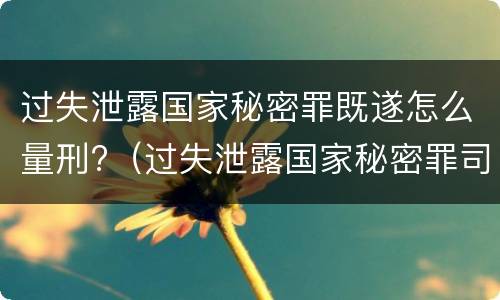过失泄露国家秘密罪既遂怎么量刑?（过失泄露国家秘密罪司法解释）