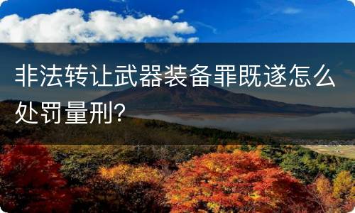 非法转让武器装备罪既遂怎么处罚量刑？