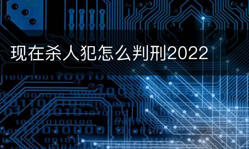 现在杀人犯怎么判刑2022