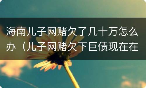 海南儿子网赌欠了几十万怎么办（儿子网赌欠下巨债现在在家躺尸）