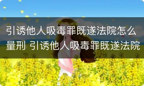 引诱他人吸毒罪既遂法院怎么量刑 引诱他人吸毒罪既遂法院怎么量刑的