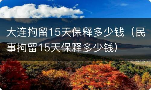 大连拘留15天保释多少钱（民事拘留15天保释多少钱）