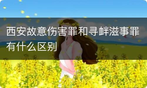 西安故意伤害罪和寻衅滋事罪有什么区别