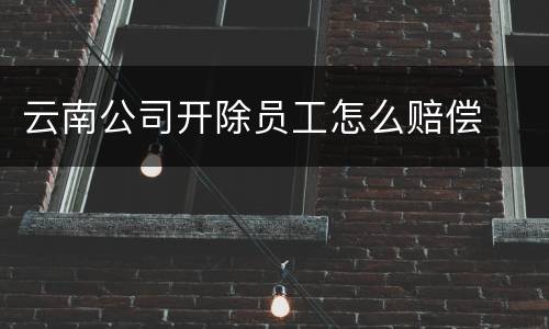 云南公司开除员工怎么赔偿