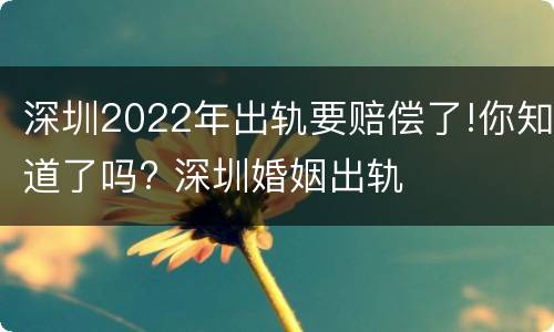 深圳2022年出轨要赔偿了!你知道了吗? 深圳婚姻出轨