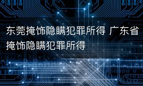东莞掩饰隐瞒犯罪所得 广东省掩饰隐瞒犯罪所得