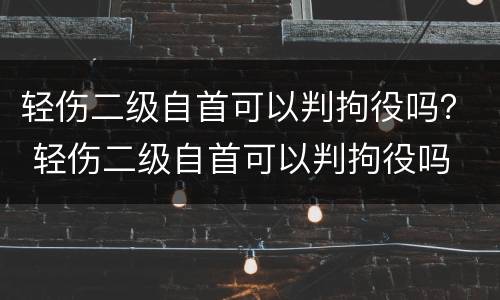 轻伤二级自首可以判拘役吗？ 轻伤二级自首可以判拘役吗