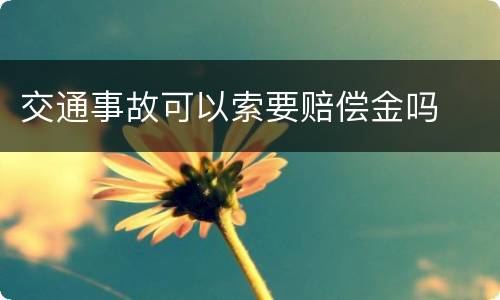 交通事故可以索要赔偿金吗
