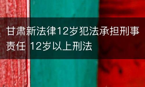 甘肃新法律12岁犯法承担刑事责任 12岁以上刑法
