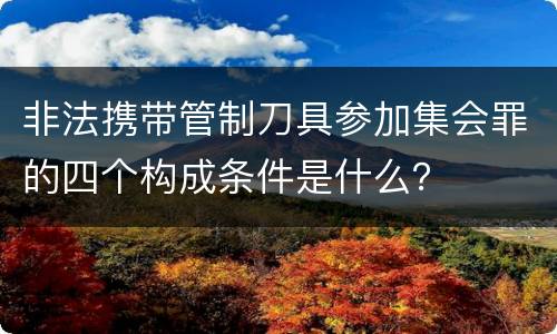 非法携带管制刀具参加集会罪的四个构成条件是什么？