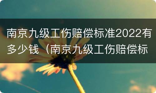 南京九级工伤赔偿标准2022有多少钱（南京九级工伤赔偿标准2022有多少钱一个月）