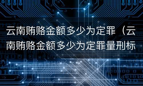 云南贿赂金额多少为定罪（云南贿赂金额多少为定罪量刑标准）