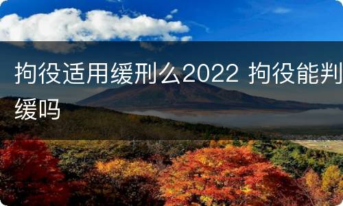 拘役适用缓刑么2022 拘役能判缓吗