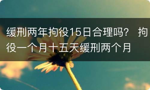 缓刑两年拘役15日合理吗？ 拘役一个月十五天缓刑两个月