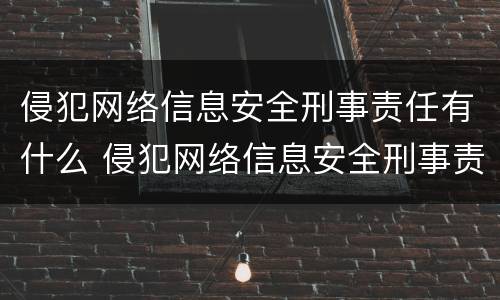 侵犯网络信息安全刑事责任有什么 侵犯网络信息安全刑事责任有什么特点
