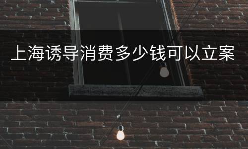 上海诱导消费多少钱可以立案