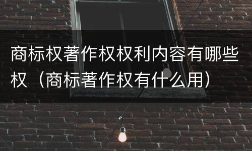 商标权著作权权利内容有哪些权（商标著作权有什么用）
