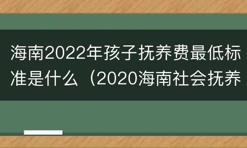 海南2022年孩子抚养费最低标准是什么（2020海南社会抚养费多少钱）