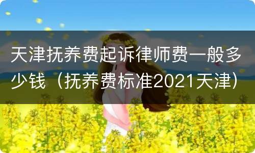 天津抚养费起诉律师费一般多少钱（抚养费标准2021天津）