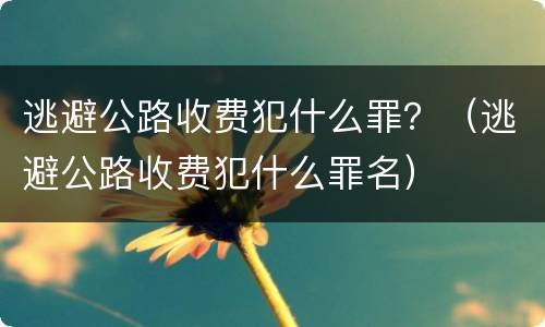 逃避公路收费犯什么罪？（逃避公路收费犯什么罪名）