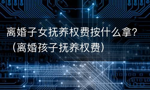 离婚子女抚养权费按什么拿？（离婚孩子抚养权费）