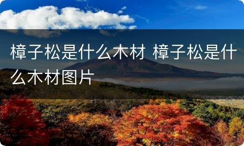 樟子松是什么木材 樟子松是什么木材图片