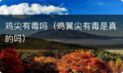 鸡尖有毒吗（鸡翼尖有毒是真的吗）