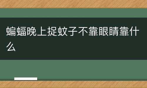 蝙蝠晚上捉蚊子不靠眼睛靠什么