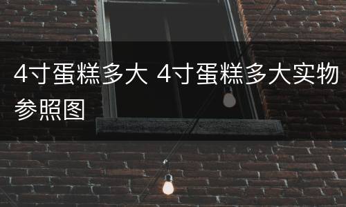 4寸蛋糕多大 4寸蛋糕多大实物参照图