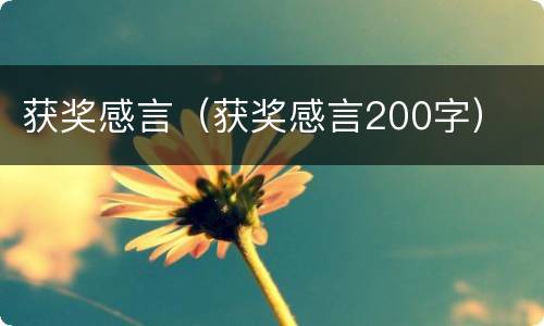 获奖感言（获奖感言200字）