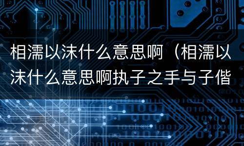 相濡以沫什么意思啊（相濡以沫什么意思啊执子之手与子偕老）