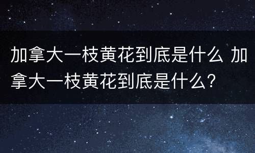 加拿大一枝黄花到底是什么 加拿大一枝黄花到底是什么?