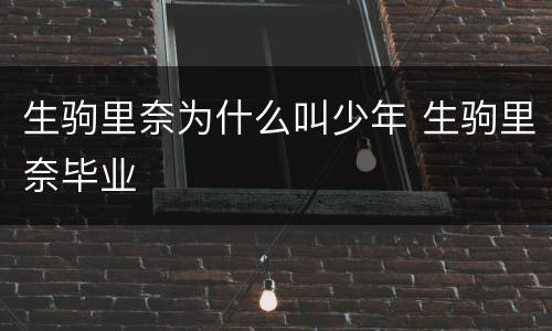 生驹里奈为什么叫少年 生驹里奈毕业