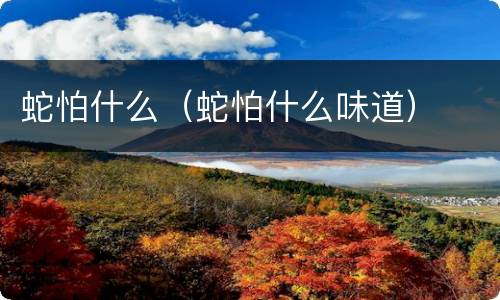 蛇怕什么（蛇怕什么味道）