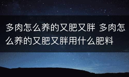 多肉怎么养的又肥又胖 多肉怎么养的又肥又胖用什么肥料