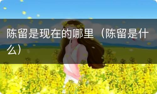 陈留是现在的哪里（陈留是什么）