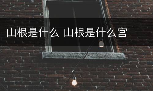 山根是什么 山根是什么宫