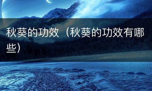 秋葵的功效（秋葵的功效有哪些）