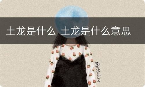 土龙是什么 土龙是什么意思