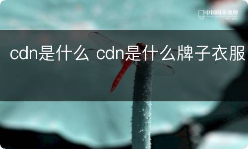 cdn是什么 cdn是什么牌子衣服