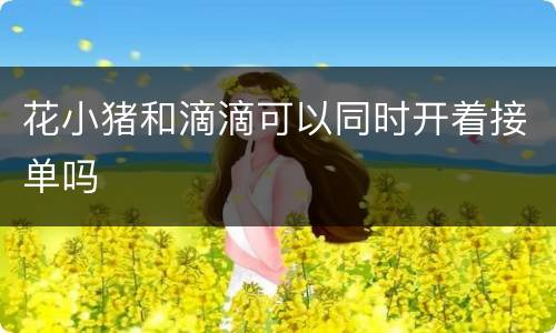 花小猪和滴滴可以同时开着接单吗