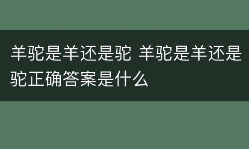 羊驼是羊还是驼 羊驼是羊还是驼正确答案是什么